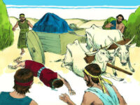 This Was Why God Killed Uzzah For Touching The Ark!